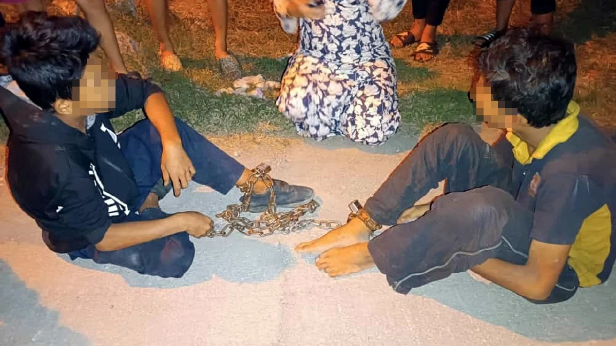 25323ramai1_1679737179