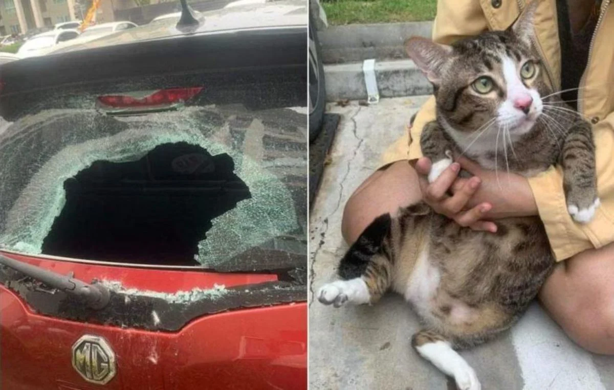 HM3005jth_1685409894