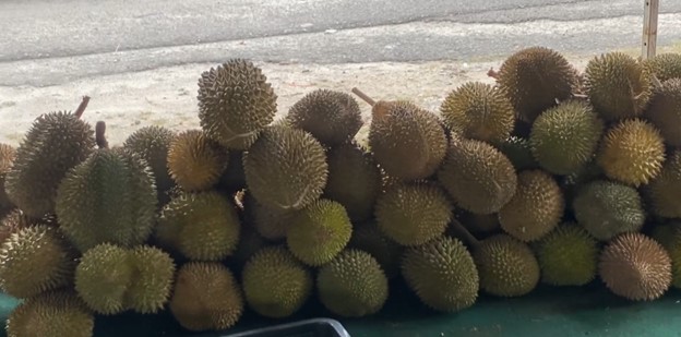 durian4