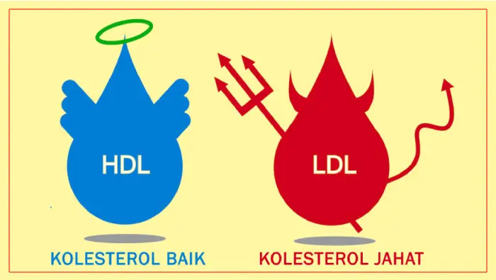 kolesterol-jahat-dan-baik