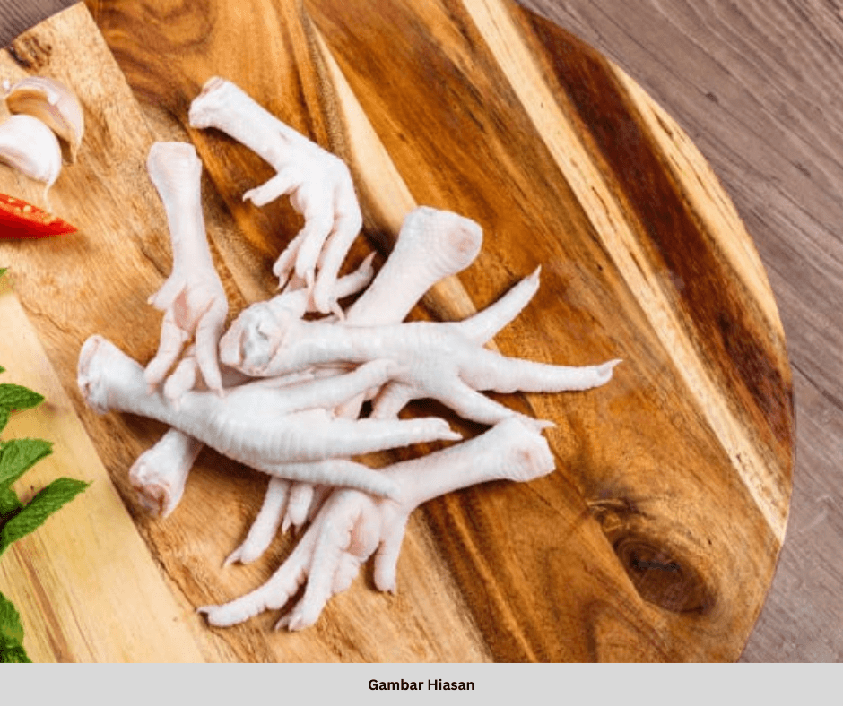 KAKI AYAM SUMBER KOLAGEN?