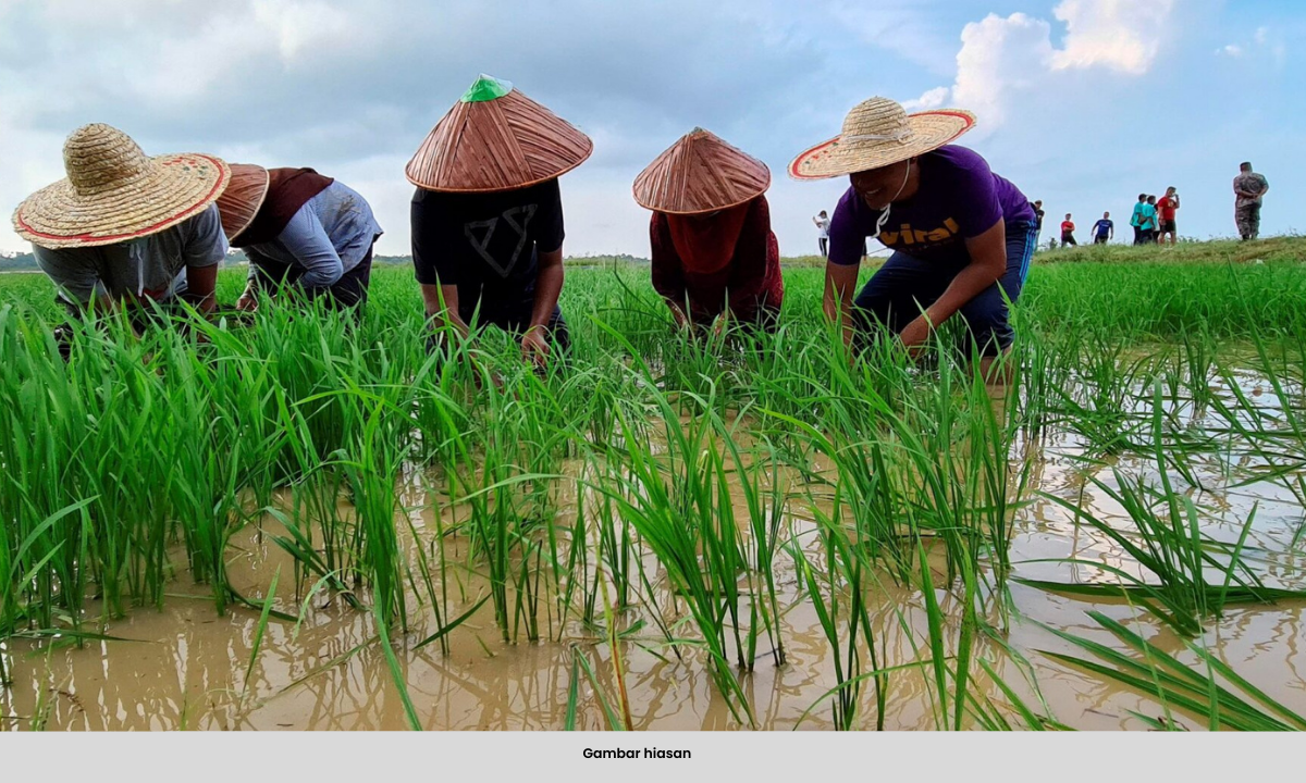 LEBIH 200 RIBU PESAWAH BAKAL TERIMA DANA PERTENGAHAN BULAN INI