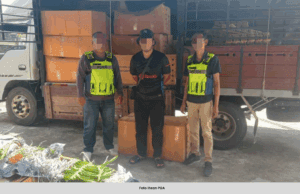 PGA RAMPAS LEBIH 3000 TANAMAN DISYAKI SELUDUP