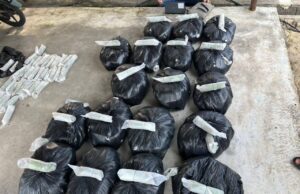 PGA RAMPAS DAUN KETUM BERNILAI LEBIH RM7,000