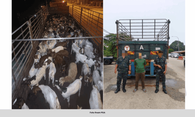 SUMBER WITH CAPTION - 2025-07-01T103931.912