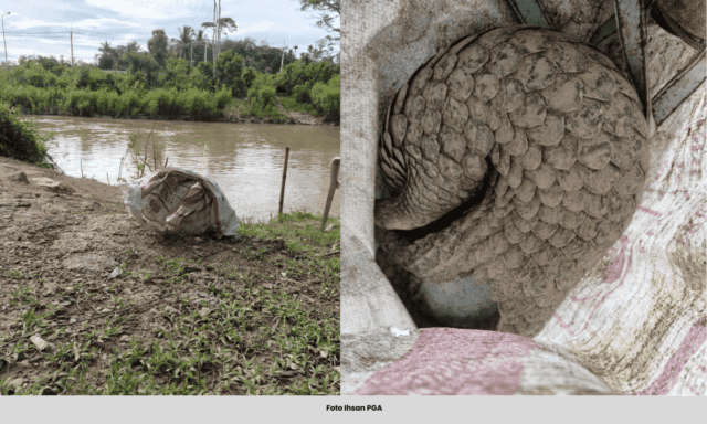 SUMBER WITH CAPTION - 2025-08-13T103551.982 (1)