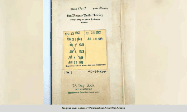 SUMBER WITH CAPTION - 2025-08-17T121635.058