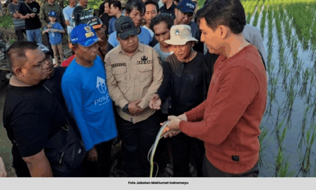 SUMBER WITH CAPTION - 2025-08-26T093652.399