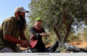 ISRAEL USIR 32 AKTIVIS BANTU PENDUDUK PALESTIN TUAI ZAITUN