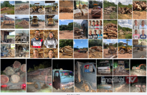 PGA RAMPAS HASIL HUTAN HAMPIR RM8 JUTA DI KELANTAN, TERENGGANU
