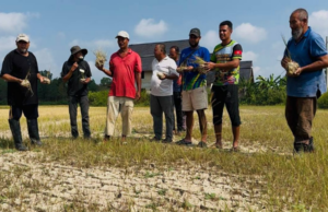 LEBIH 1,000 PESAWAH TERJEJAS AKIBAT CUACA PANAS – KADA