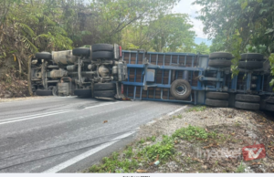 TRELER BAWA MUATAN KELAPA SAWIT TERBALIK