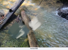 POLIS MENEMUKAN MAYAT SEORANG LELAKI TENGGELAM DALAM SUNGAI