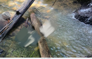 POLIS MENEMUKAN MAYAT SEORANG LELAKI TENGGELAM DALAM SUNGAI