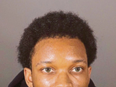 MAYAT REPUT DALAM TESLA: PENYANYI D4VD DIDAKWA BUNUH KEKASIH