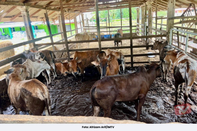 BERITA FEATURED IMAGE