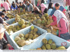 FAMA JUAL 27 TAN DURIAN SEMPENA JUALAN BUAH-BUAHAN BERMUSIM