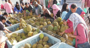 FAMA JUAL 27 TAN DURIAN SEMPENA JUALAN BUAH-BUAHAN BERMUSIM