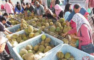 FAMA JUAL 27 TAN DURIAN SEMPENA JUALAN BUAH-BUAHAN BERMUSIM