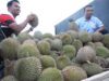 FAMA SEDIA 10 TAN DURIAN SEMPENA JUALAN BUAH-BUAHAN BERMUSIM