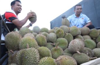 FAMA SEDIA 10 TAN DURIAN SEMPENA JUALAN BUAH-BUAHAN BERMUSIM