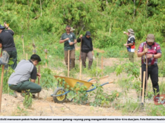 JPNP PULIH KAWASAN CEROBOH, TANAM 2,000 POKOK DI HUTAN RAMSAR
