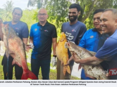 PROGRAM MITIGASI SPESIES TANGKAP 491.29KG IKAN ASING
