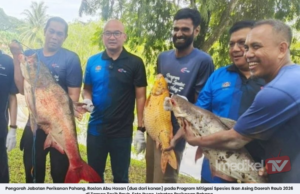 PROGRAM MITIGASI SPESIES TANGKAP 491.29KG IKAN ASING