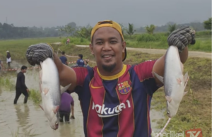 100 EKOR IKAN DILEPASKAN MERIAHKAN PROGRAM GAGAU IKAN UMPSA ADVANCED 2026