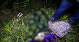 WARGA EMAS DITEMUI MENINGGAL DUNIA DI SAWAH