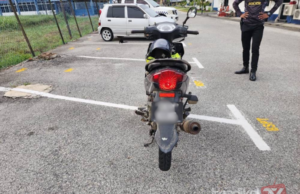 PENUNGGANG MOTOSIKAL DISYAKI DISERANG SAWAN, MENINGGAL DUNIA