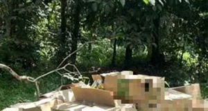 SINDIKET LARI TINGGALKAN 595 PAKET MINYAK MASAK BERSUBSIDI DALAM SEMAK