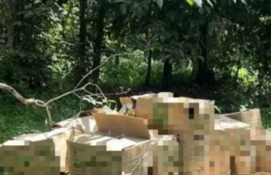 SINDIKET LARI TINGGALKAN 595 PAKET MINYAK MASAK BERSUBSIDI DALAM SEMAK