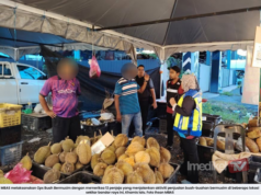 MBAS KELUAR NOTIS, KOMPAUN DALAM OPS BUAH BERMUSIM