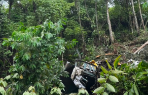 PEMANDU LORI MAUT SELEPAS HILANG KAWALAN, KENDERAAN TERJUNAM DALAM GAUNG DI LOJING