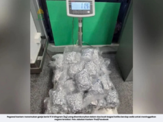 LELAKI RUSSIA DITAHAN BAWA 17.6KG GANJA DI LAPANGAN TERBANG PHUKET