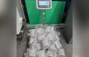 LELAKI RUSSIA DITAHAN BAWA 17.6KG GANJA DI LAPANGAN TERBANG PHUKET