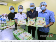 PUSAT PEMPROSESAN FAMA JERANTUT HASILKAN 500KG PES SEHARI