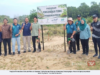 200 POKOK DITANAM KUKUHKAN TEBING SUNGAI PAHANG
