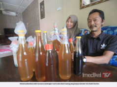 MADU JADI PENAWAR SENGATAN LEBAH, PENCARI MADU TUALANG TABAH HARUNGI RISIKO