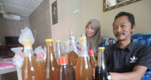 MADU JADI PENAWAR SENGATAN LEBAH, PENCARI MADU TUALANG TABAH HARUNGI RISIKO