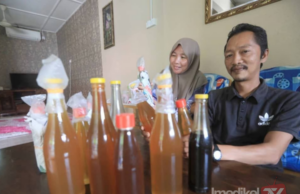 MADU JADI PENAWAR SENGATAN LEBAH, PENCARI MADU TUALANG TABAH HARUNGI RISIKO
