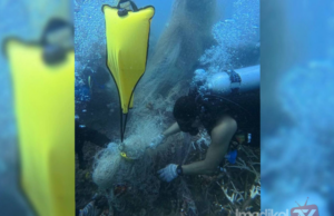 30 PENYELAM BERJAYA PINDAH 500kg PUKAT HANTU DASAR PULAU TULAI