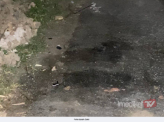 PELAJAR TINGKATAN LIMA MAUT DIHEMPAP POKOK KELAPA