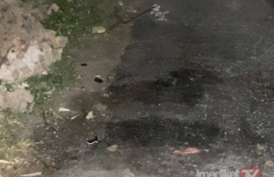 PELAJAR TINGKATAN LIMA MAUT DIHEMPAP POKOK KELAPA