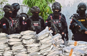 INDONESIA RAMPAS 3.37 TAN BUNGA GANJA THAILAND