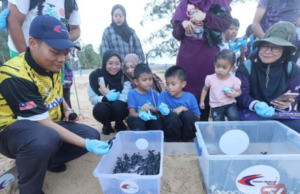 LEBIH 2,000 ANAK PENYU AGAR DILEPASKAN KE LAUT SEJAK JANUARI
