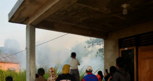 LEBIH 107,000 HEKTAR HUTAN, TANAH TERJEJAS AKIBAT KEBAKARAN DI INDONESIA