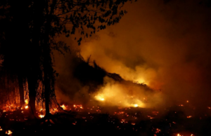 INDONESIA PADAM 4 KEBAKARAN HUTAN, TANAH DI 4 PROVINSI
