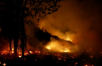 INDONESIA PADAM 4 KEBAKARAN HUTAN, TANAH DI 4 PROVINSI